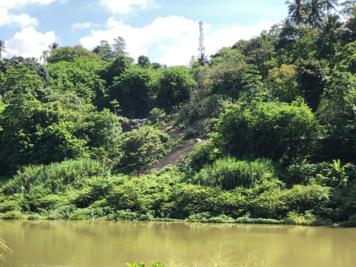 Kandy Rivers Edge Nature Resort Esterno foto