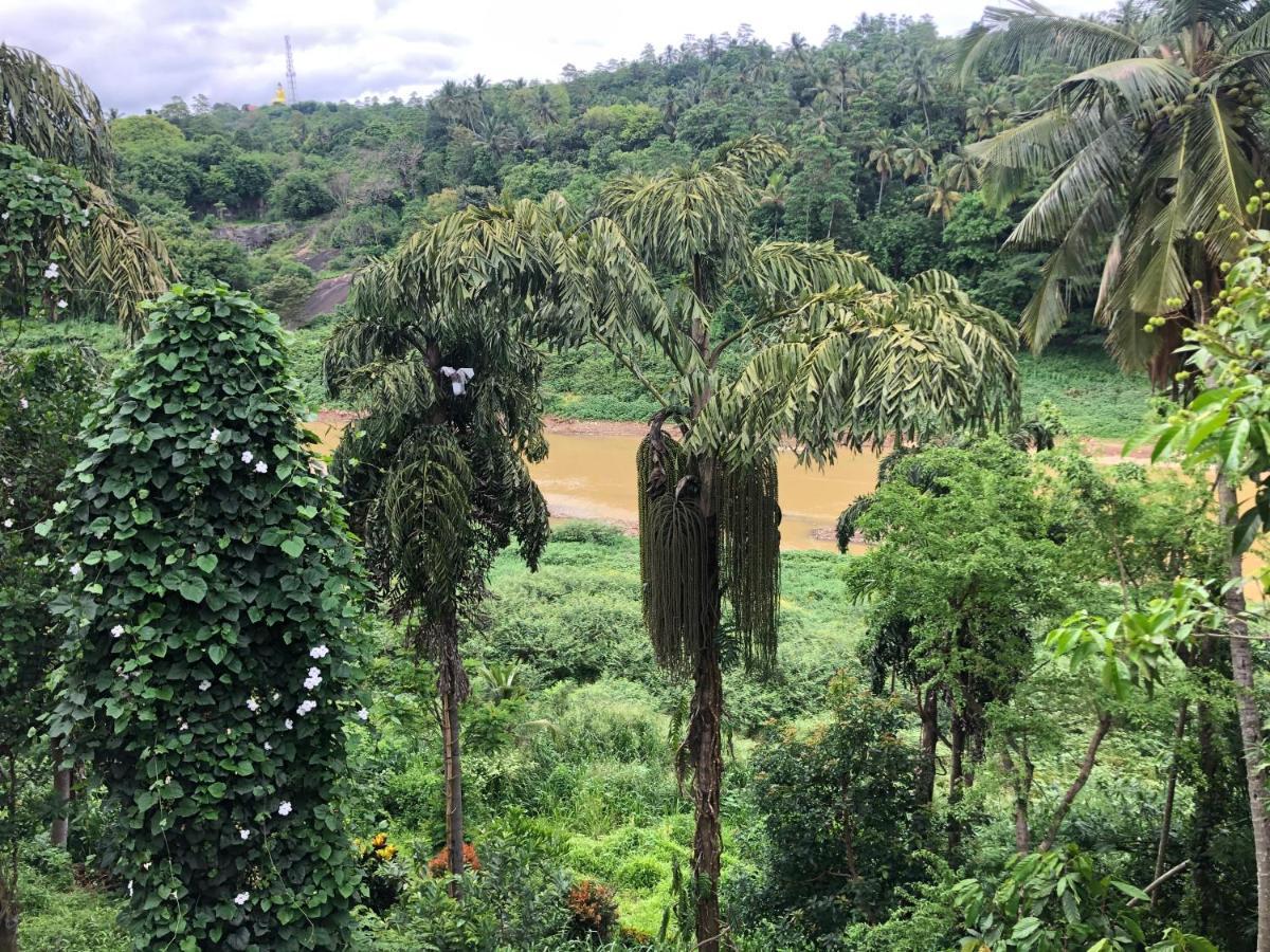 Kandy Rivers Edge Nature Resort Esterno foto