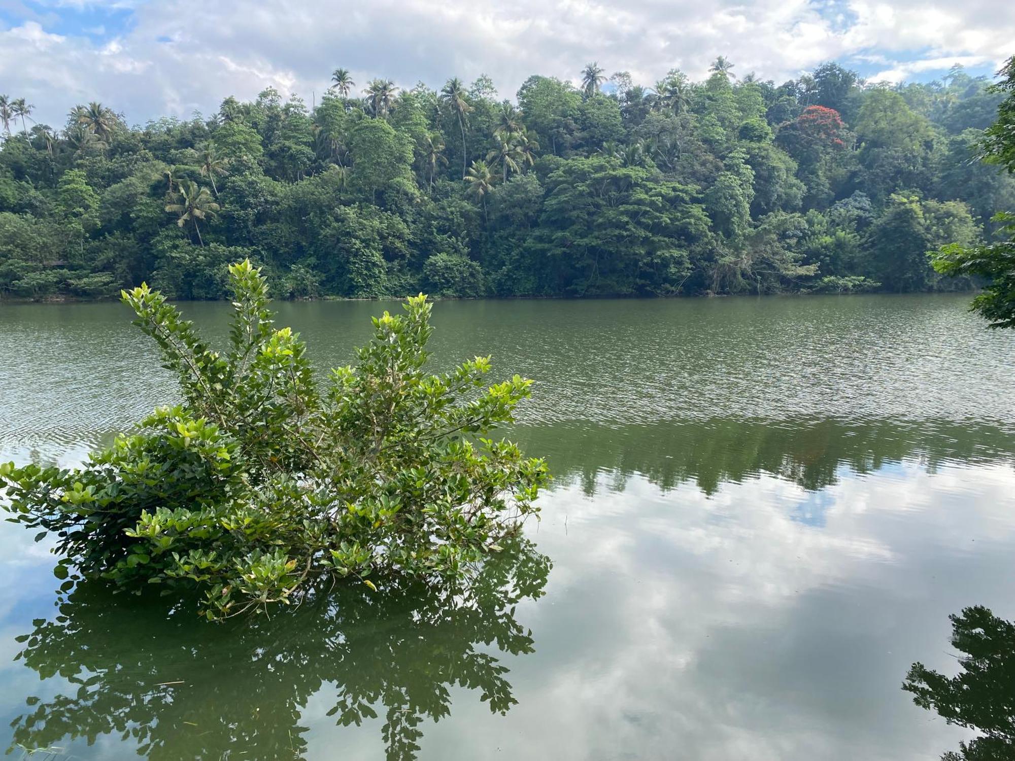 Kandy Rivers Edge Nature Resort Esterno foto